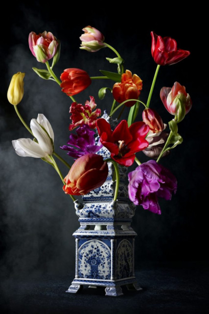 Hans Pieterse + Royal Tulip
